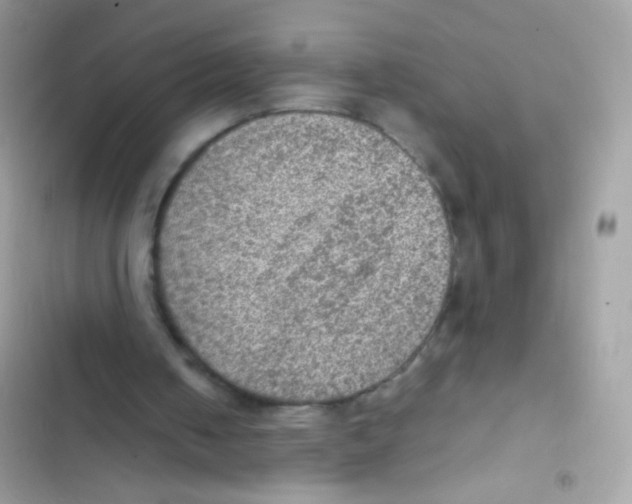 X0000103160050200809192103