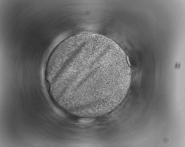 X0000103160051200809192103