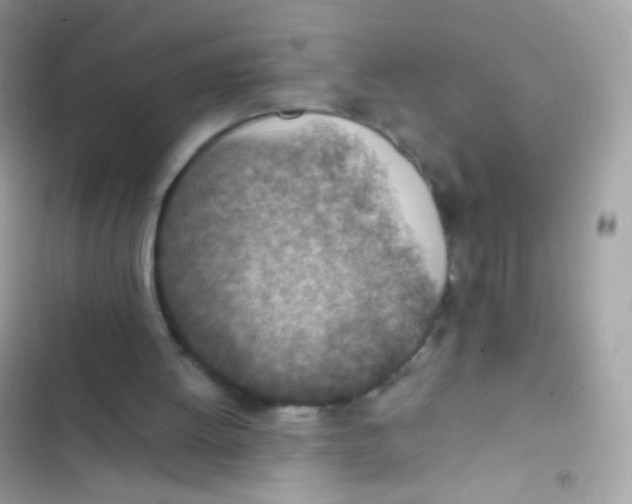X0000103160052200809192103
