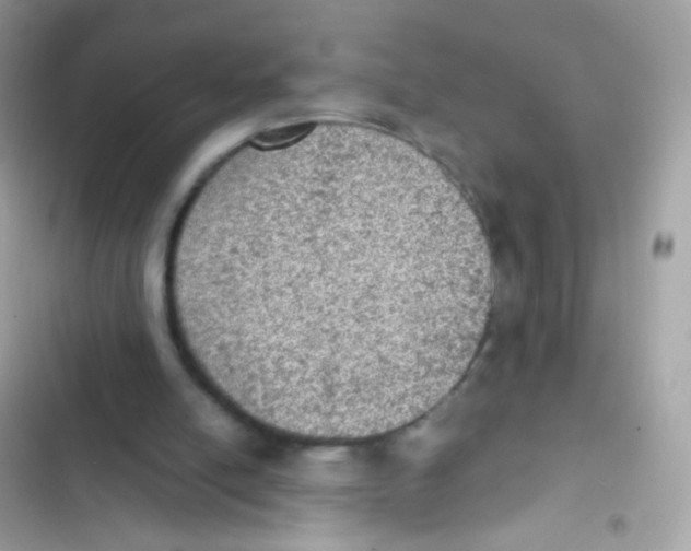 X0000103160054200809192103