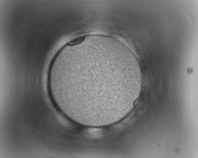 X0000103160055200809192103