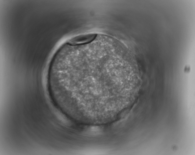 X0000103160056200809192103