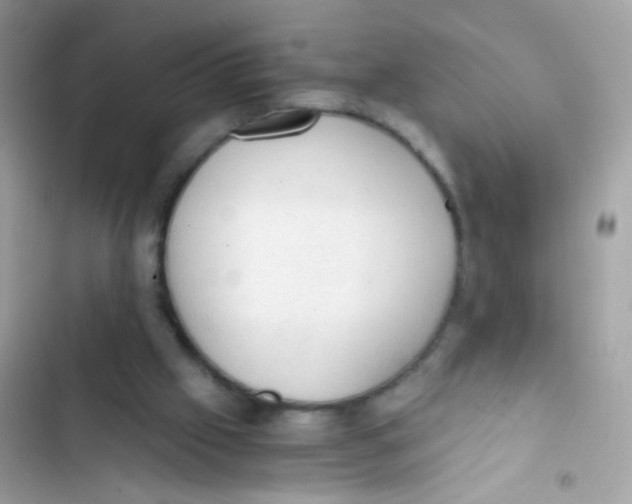 X0000103160057200809192103