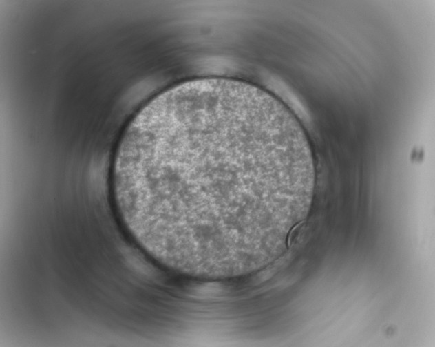 X0000103160058200809192103