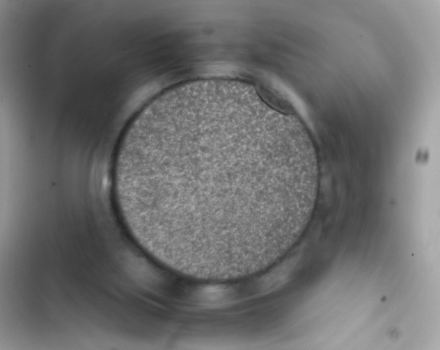 X0000103160059200809192103
