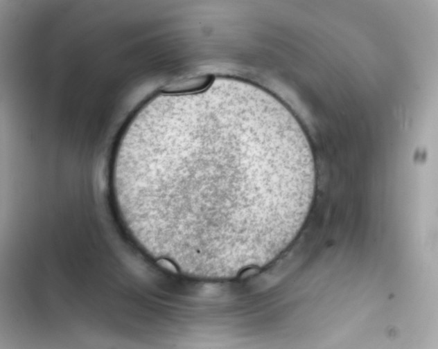 X0000103160060200809192103