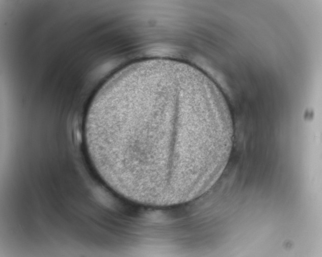 X0000103160062200809192103