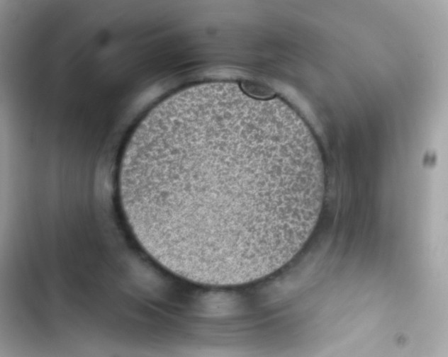 X0000103160063200809192103