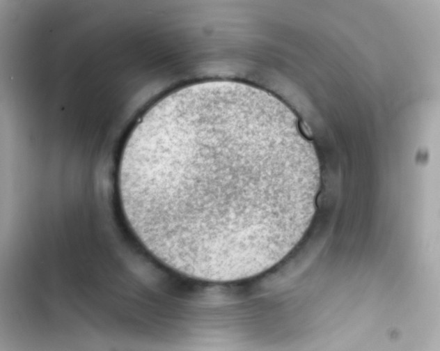 X0000103160064200809192103