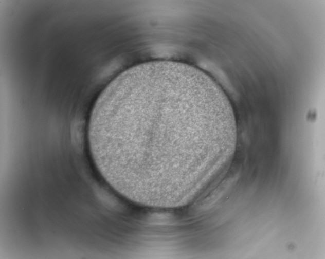 X0000103160066200809192103
