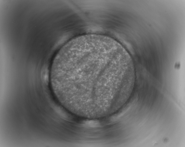 X0000103160067200809192103