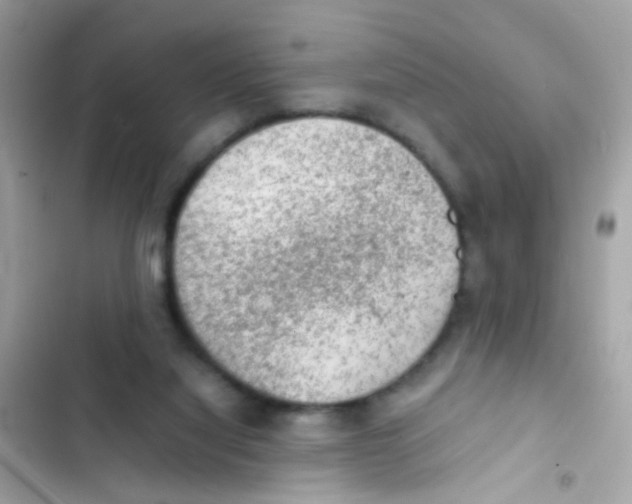 X0000103160068200809192103