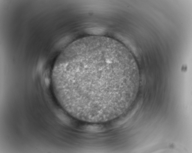 X0000103160069200809192103