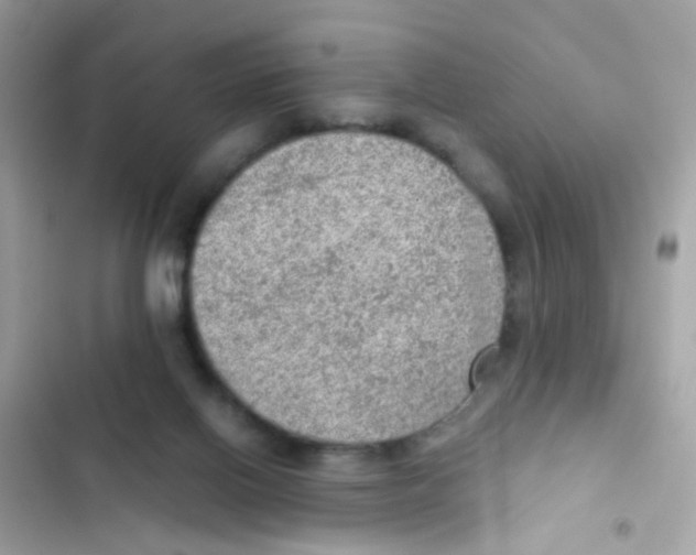 X0000103160070200809192103