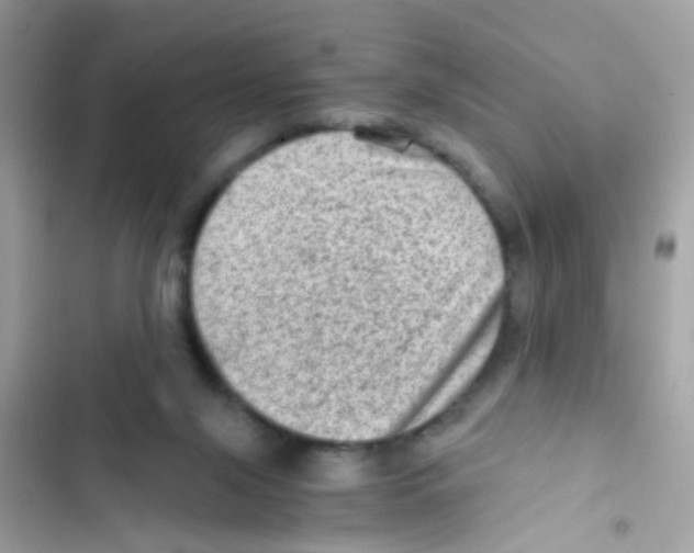X0000103160071200809192103