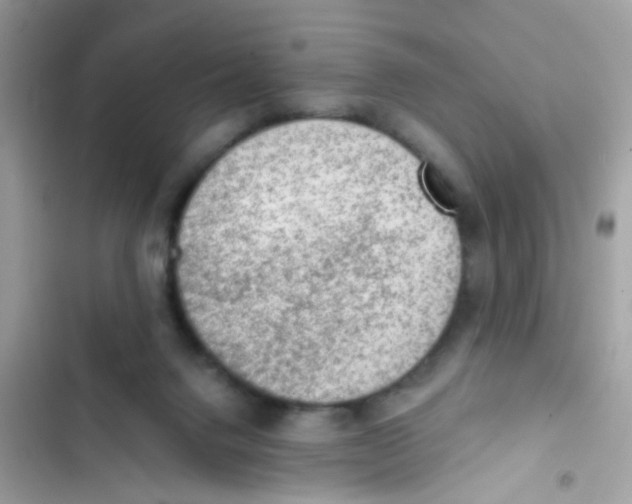 X0000103160072200809192103