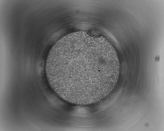 X0000103160073200809192103