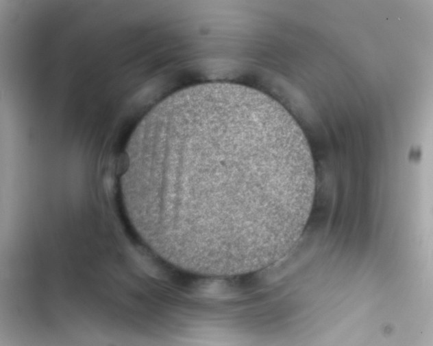 X0000103160074200809192103