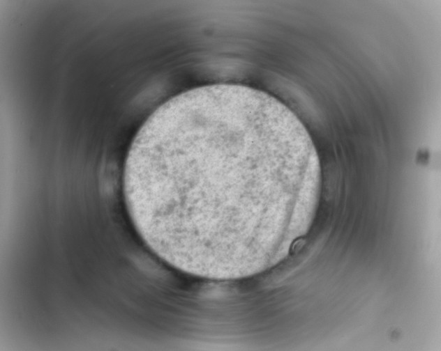 X0000103160077200809192103