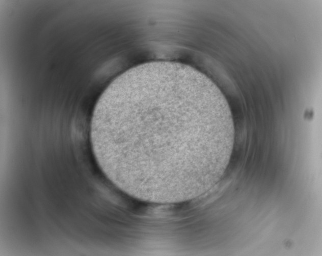 X0000103160078200809192103