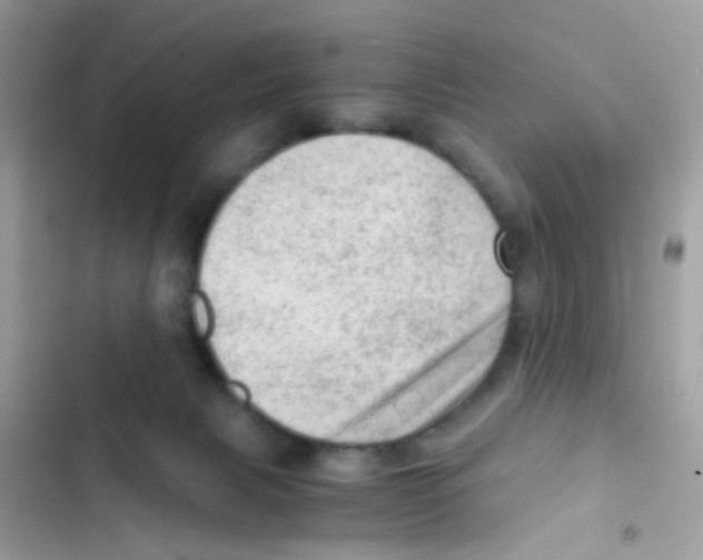 X0000103160079200809192103