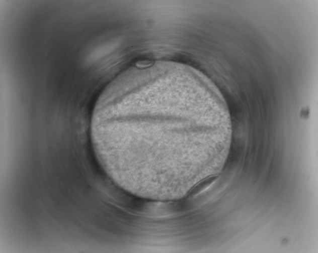 X0000103160082200809192103