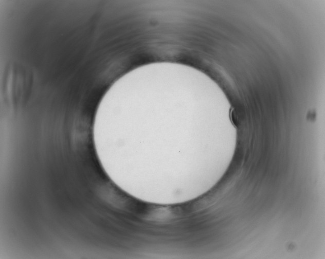 X0000103160083200809192103
