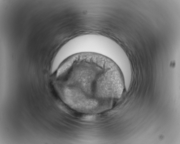 X0000103160084200809192103