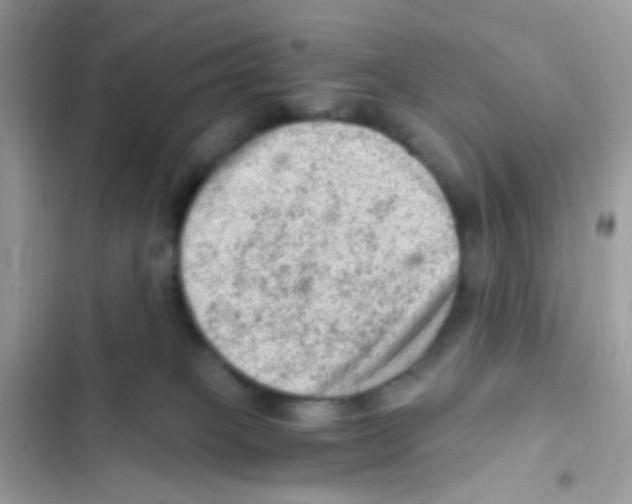 X0000103160085200809192103