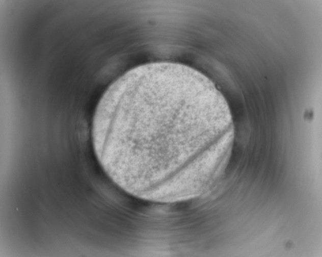 X0000103160086200809192103