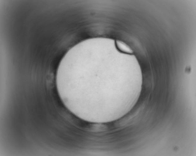 X0000103160087200809192103