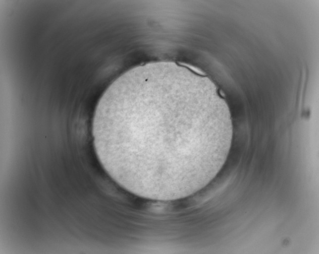 X0000103160088200809192103