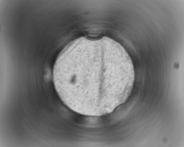 X0000103160089200809192103