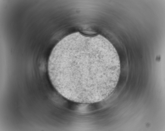 X0000103160090200809192103
