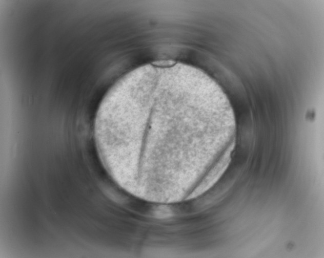 X0000103160091200809192103