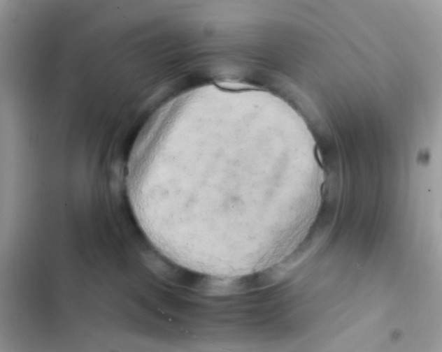 X0000103160093200809192103
