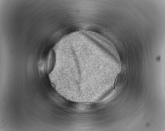 X0000103160094200809192103