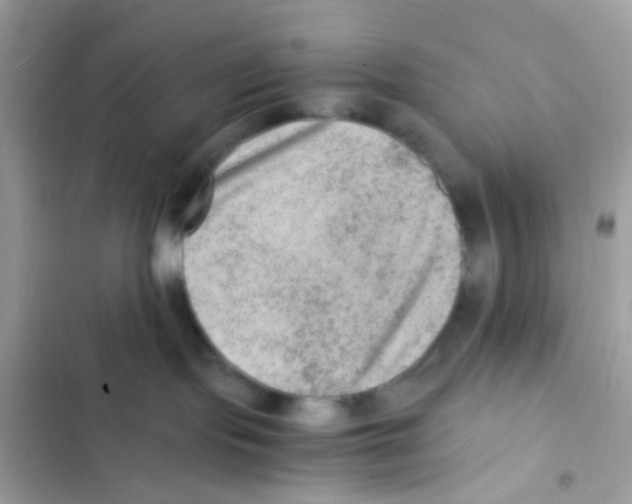 X0000103160095200809192103
