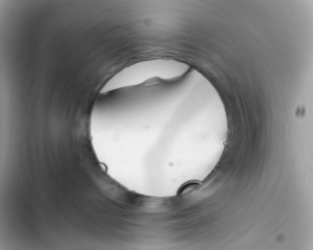 X0000103160096200809192103
