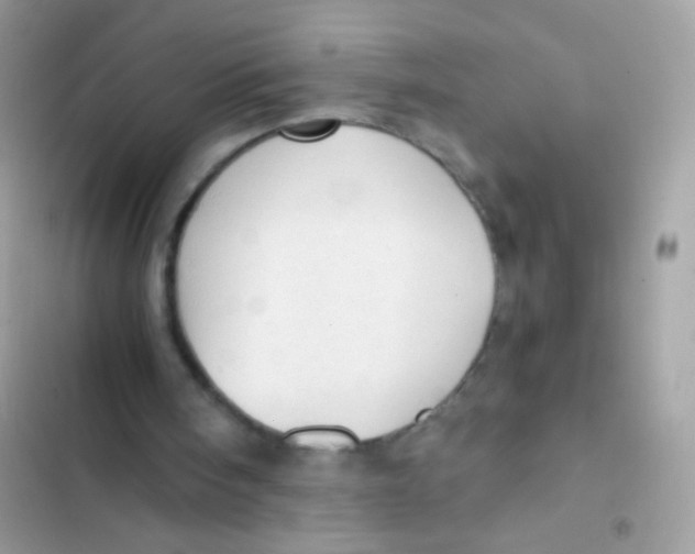 X0000103160098200809192103