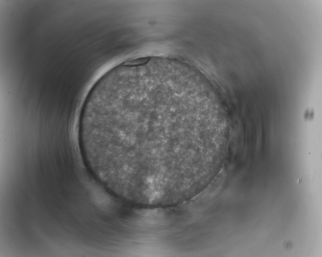 X0000103160100200809192103