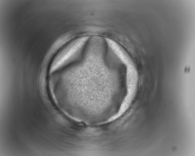 X0000103160101200809192103