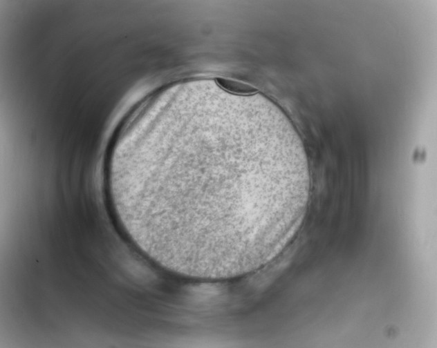 X0000103160102200809192103