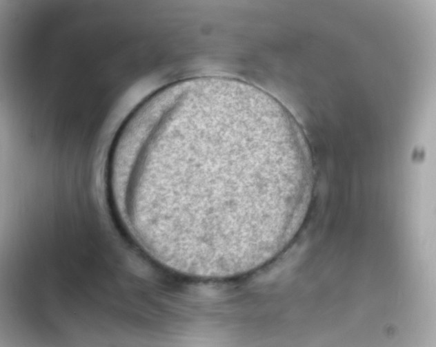 X0000103160103200809192103