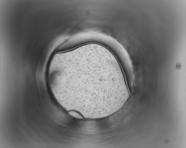 X0000103160104200809192103