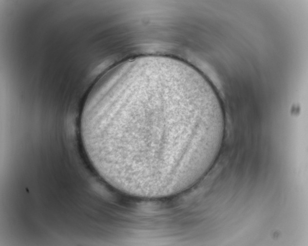 X0000103160105200809192103