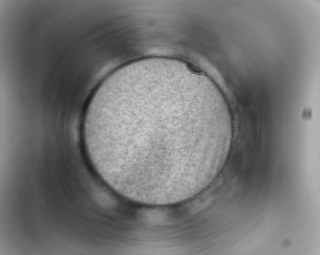 X0000103160106200809192103