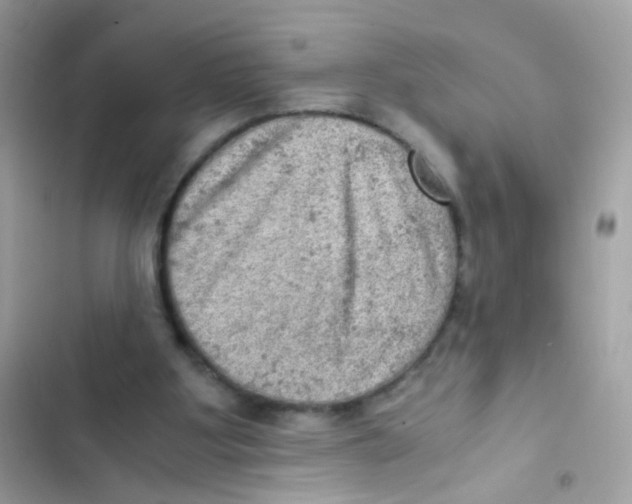 X0000103160107200809192103