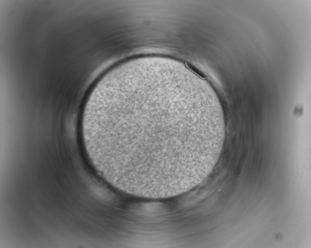 X0000103160108200809192103