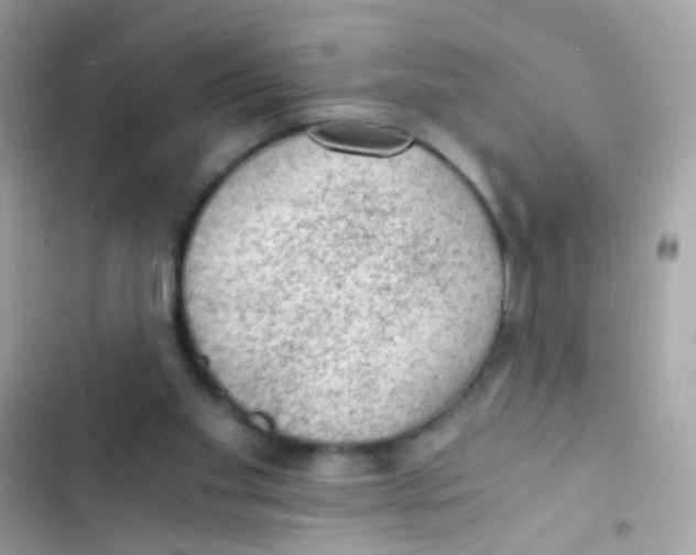 X0000103160109200809192103